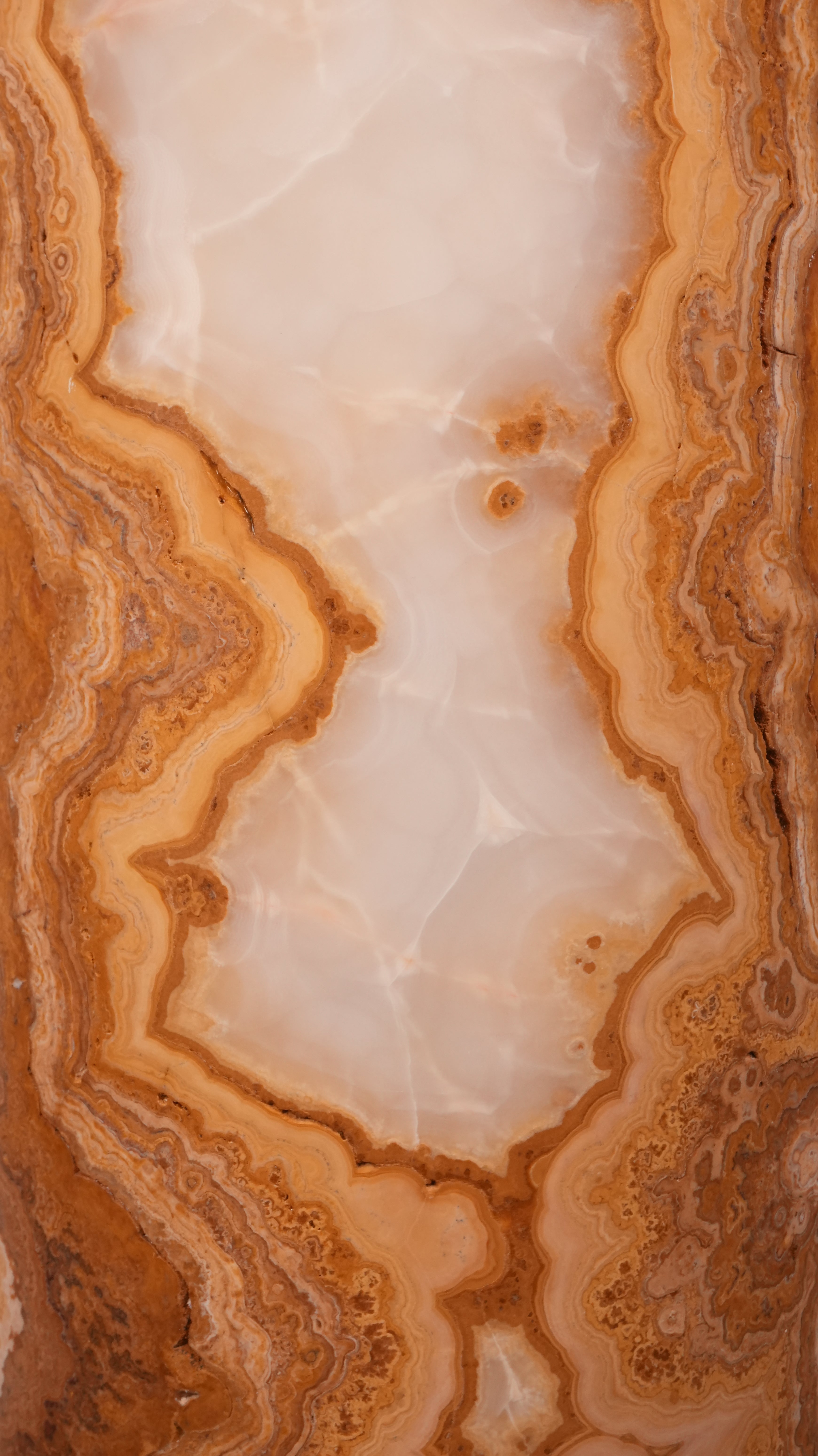 E81